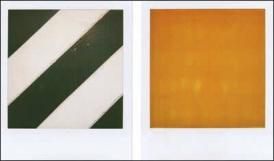 Hi, I'm the Polaroids of Grant Hamilton