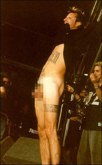 Hi, I'm a rock star dick pic